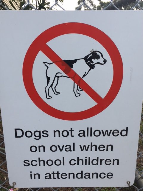 Dogs in the School Grounds