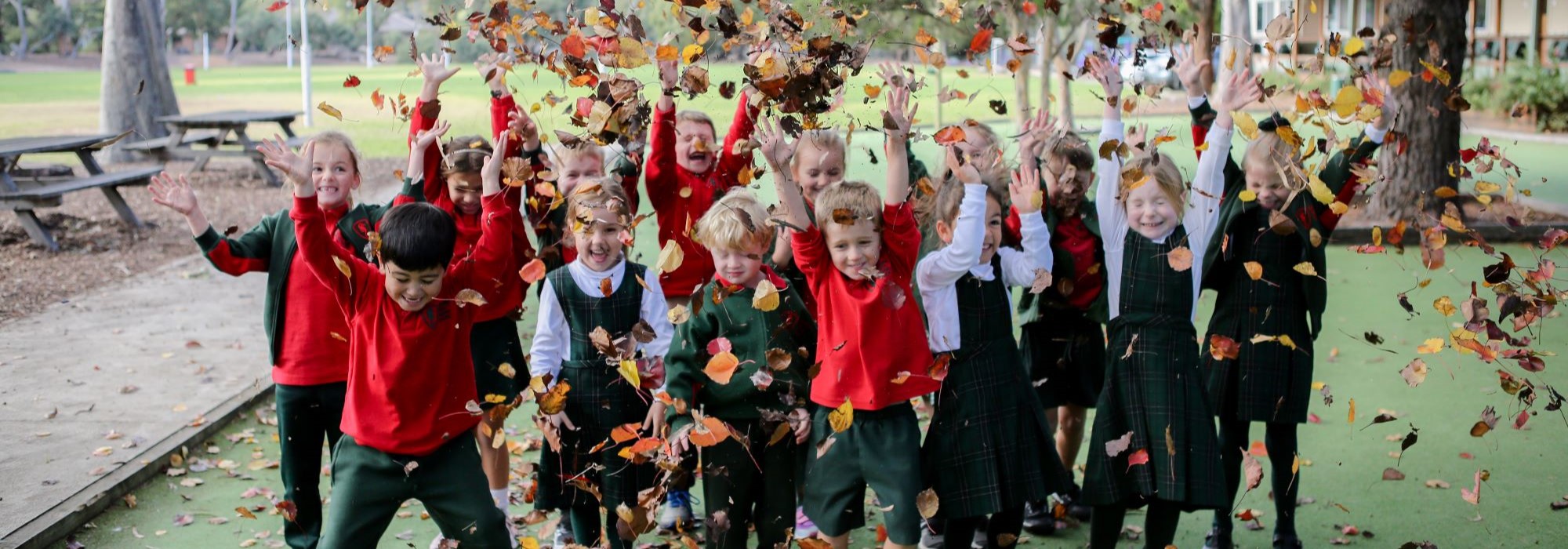 kids_leaves_homepage_700